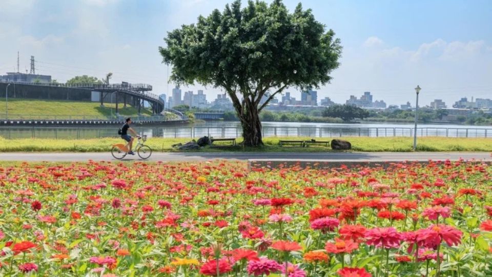 花博大佳河濱公園區