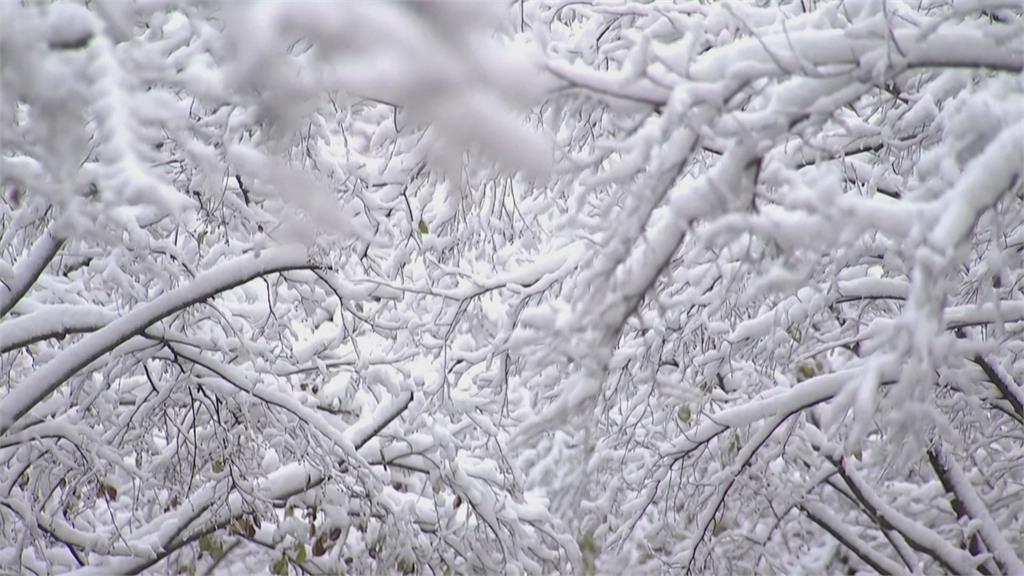 南韓遇117年來最強降雪！上百航班被取消 癱瘓交通已釀3死