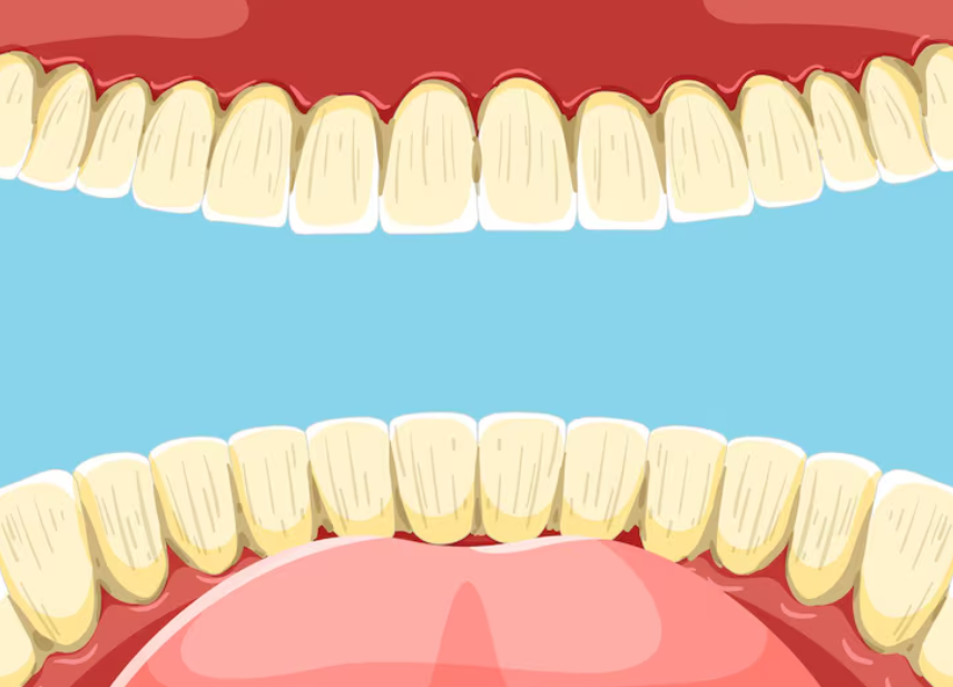 全口重建步驟詳解｜從評估到完成的全流程說明