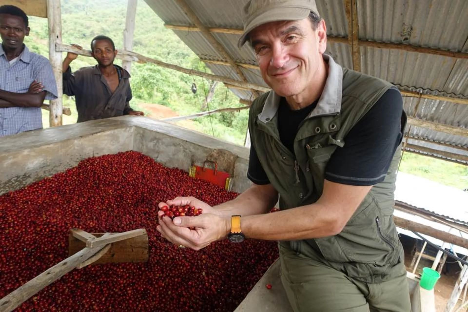 歐客佬咖啡遭跨海指控詐騙 未進貨卻賣「冠軍藝伎」 中檢分案偵辦